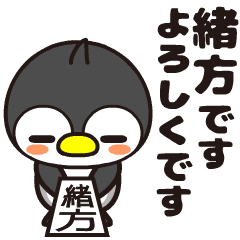 Ogata Penguin