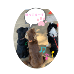 risa_20200802224358