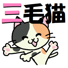 Cute calico daily stickers