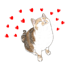 neko no mikanchan