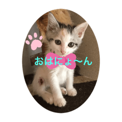 Arisa_20200802193651