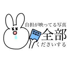 rabbit Sticker !!!