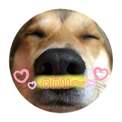 yukari_20200803145134