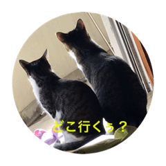 Arisa_20200803142341