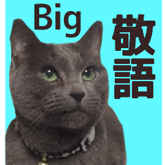 yoshikun cat big sticker keigo