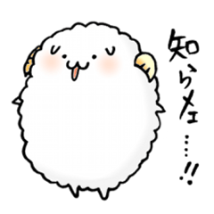 a lovely sheep2
