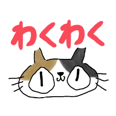 Calico cat(cute)