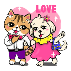 Cat Duo and Dog Niu Niu  Love Story