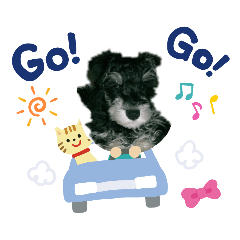 多大爺 ＆樂小姐