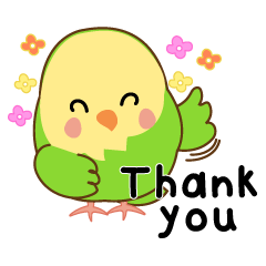 Little Parakeet