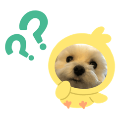 shibatakenojyokun stanp