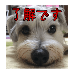 Misaki_20200803220111