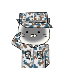 Cat of the Air Self-Defense Force