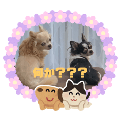 choco_20200804003503