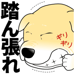 抱っこ犬 応援 感謝篇 Line スタンプ Line Store