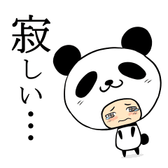 Panda Panda Panda San Line Stickers Line Store Panda Panda Panda San Line Stickers Line Store