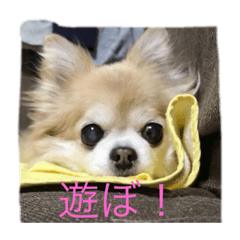 Hana_20200803193703