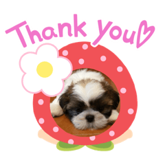 Kento_20200803190546