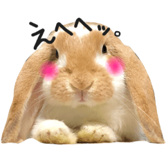 mochi_20200803214130