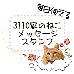 Message of 3110 (Saito) house cats