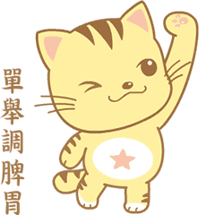Baby Cat with you Kung Fu - Chinese