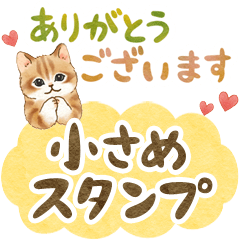 Cat sticker (compact size)