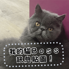我的貓Boss 訊息貼圖*初次登場!*