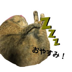 aoi_20200804075259