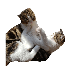 kanae_20200804140205