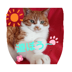 chibi_20200804121232