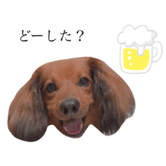 haruna_20200803210425