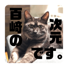 arisa_20200804165437