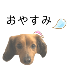 haruna_20200804172443