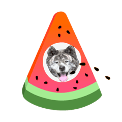 りゅうの家族スタンプ2 秋田犬 Lineクリエイターズスタンプ Stamplist りゅうの家族スタンプ2 秋田犬 Lineクリエイターズスタンプ Stamplist