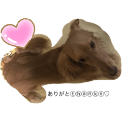 HIKARI_20200804201234