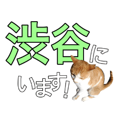 Tokyo Cat 1.0