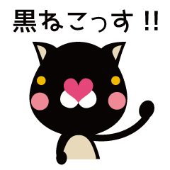 Black cat nekokichi