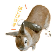 haruna_20200804212538