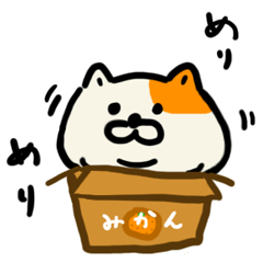 fluffy fat cat (Kawaii)