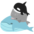 ㄈㄈ的鯨魚 The Fatty Whales