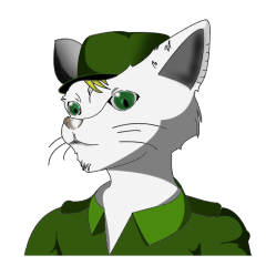 Soldier Cat