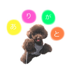 hikari_20200804194149