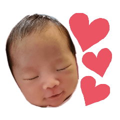 hikari_20200804233053