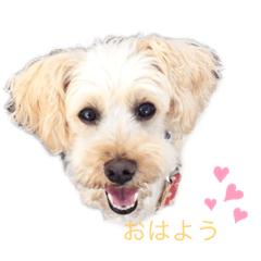 mizuki_20200804224713