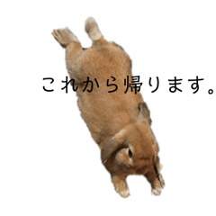 akiko_20200805072343