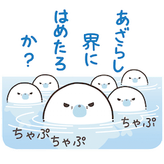 Cute seal by Torataro