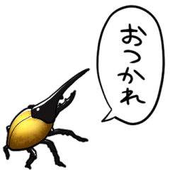 talking Hercules beetle