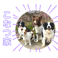 konatsu_20200805021751