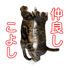 miyuu_20200805131315