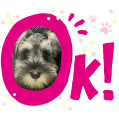 yukari_20200804232108